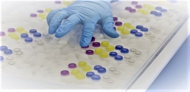 IBMP fornece teste molecular para detecção da Febre Amarela ao Ministério da Saúde para confirmação de casos suspeitos da doença