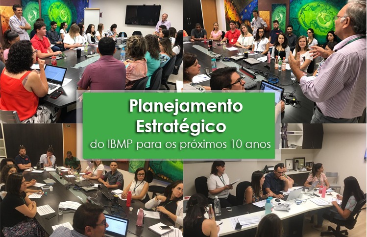 Avanço no processo de Planejamento Estratégico do IBMP